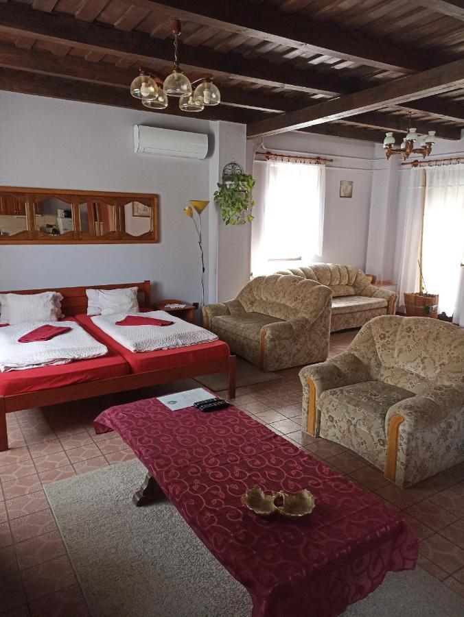Ginkgo Apartman Demjén Zewnętrze zdjęcie