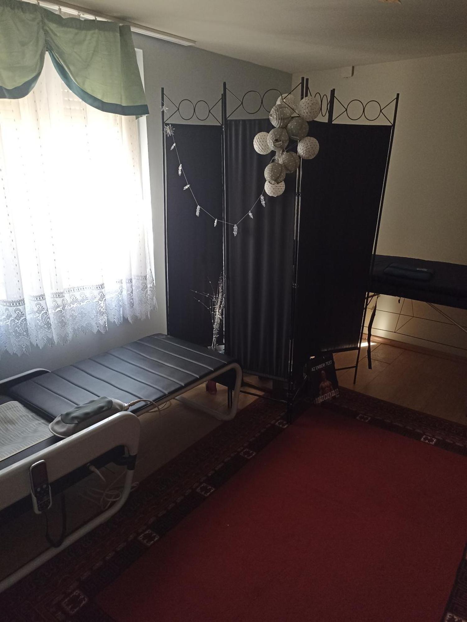 Ginkgo Apartman Demjén Zewnętrze zdjęcie