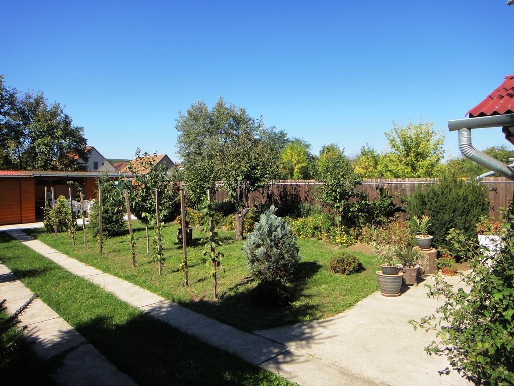 Ginkgo Apartman Demjén Zewnętrze zdjęcie